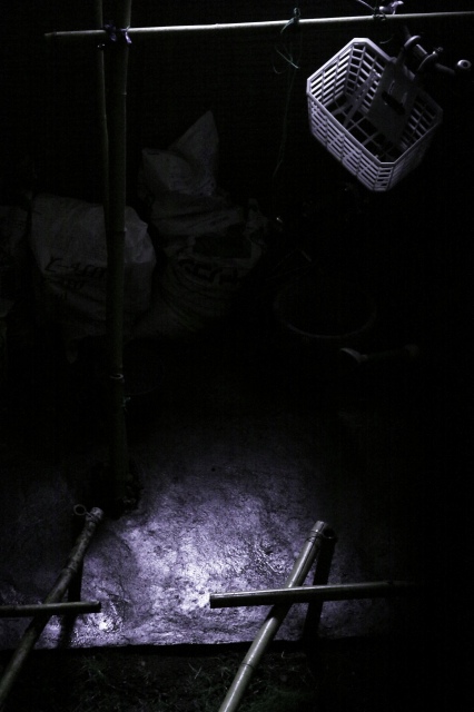 c0071611_0155182.jpg