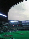 目撃されてた!!_f0082612_13353186.jpg
