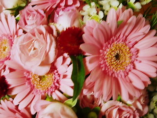 f0192117_2124780.jpg