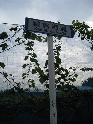 e0117318_238198.jpg