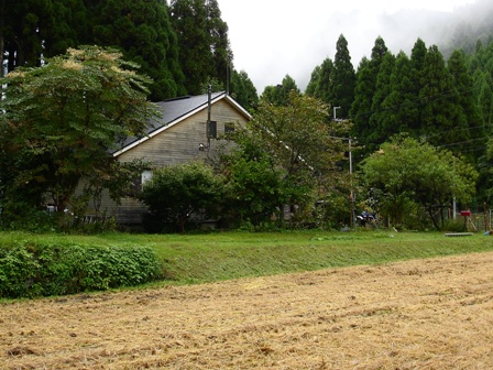 朝の気温、平年並み　　朽木小川・気象台より_c0044819_7591583.jpg