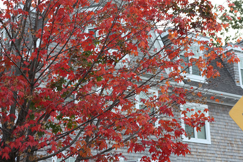 c0126120_661395.jpg