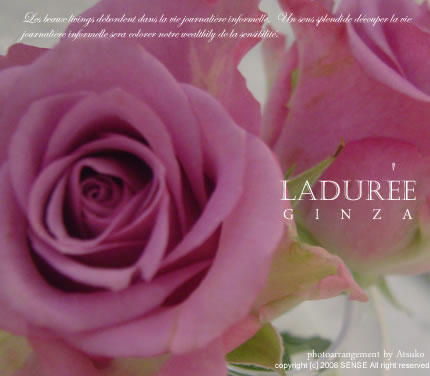 LADUREE@Lunch_d0126322_23221485.jpg