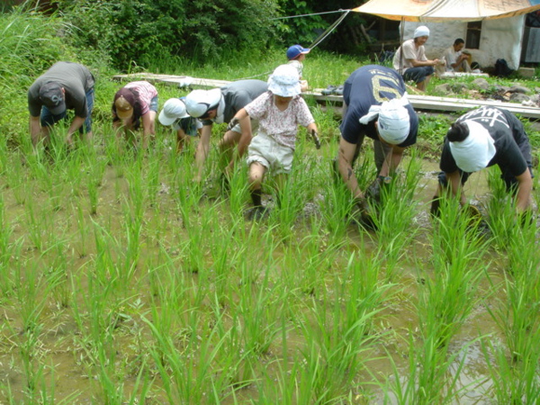 夏のプログラムの報告　二日目_b0131724_2031133.jpg