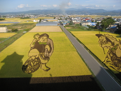 田んぼアート*2008.09.30（田舎館村）_b0147224_23315467.jpg