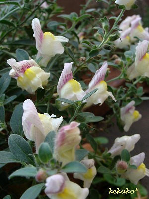 f0170524_14374196.jpg