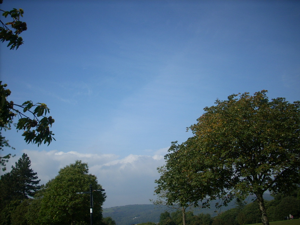 d0145528_5243823.jpg