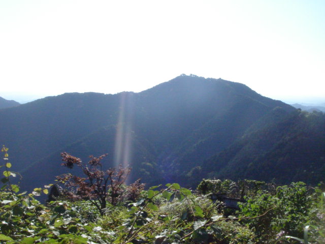 e0120131_1552567.jpg