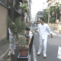 d0033734_1612327.gif