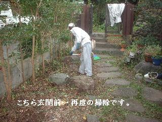 剪定・伐採2日目_f0031037_21202295.jpg