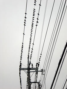 整列!_d0035245_1934870.jpg