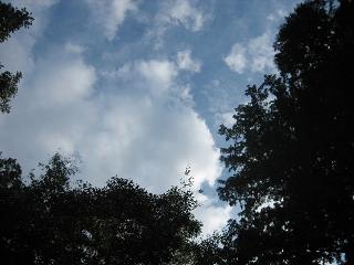 d0031061_215429.jpg