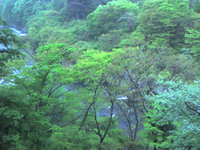 e0069867_62262.jpg