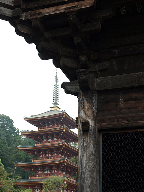 高幡不動尊金剛寺_b0006870_0405740.jpg