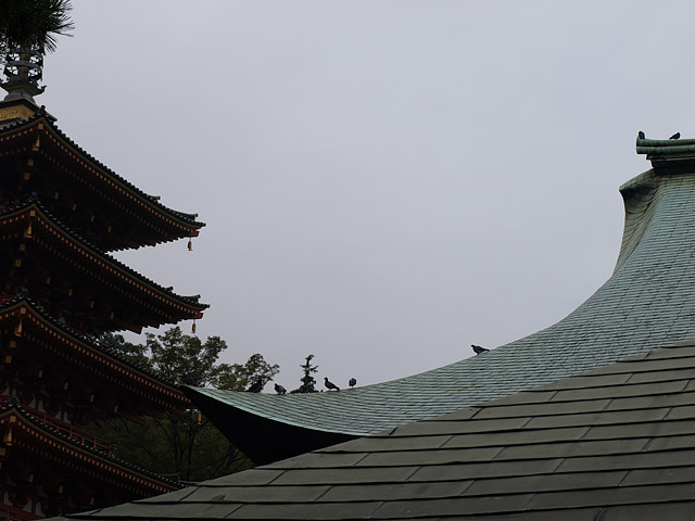 高幡不動尊金剛寺_b0006870_1112221.jpg