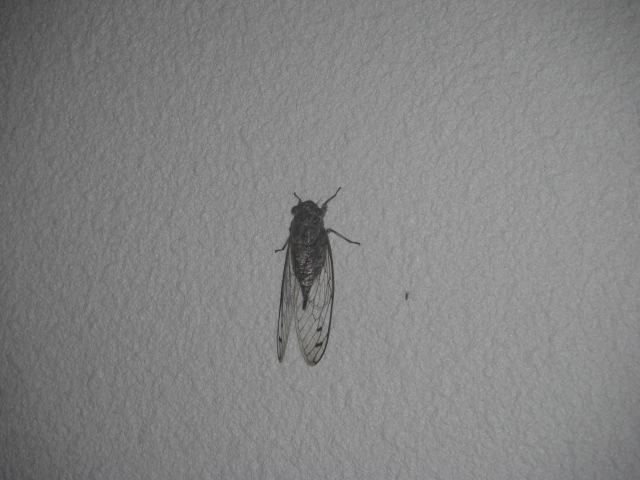 10月突入_f0172281_1146388.jpg