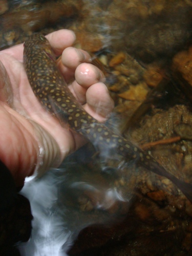 e0030889_13194761.jpg