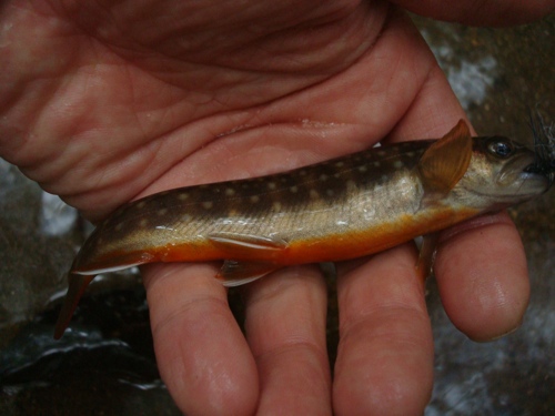 e0030889_1320089.jpg