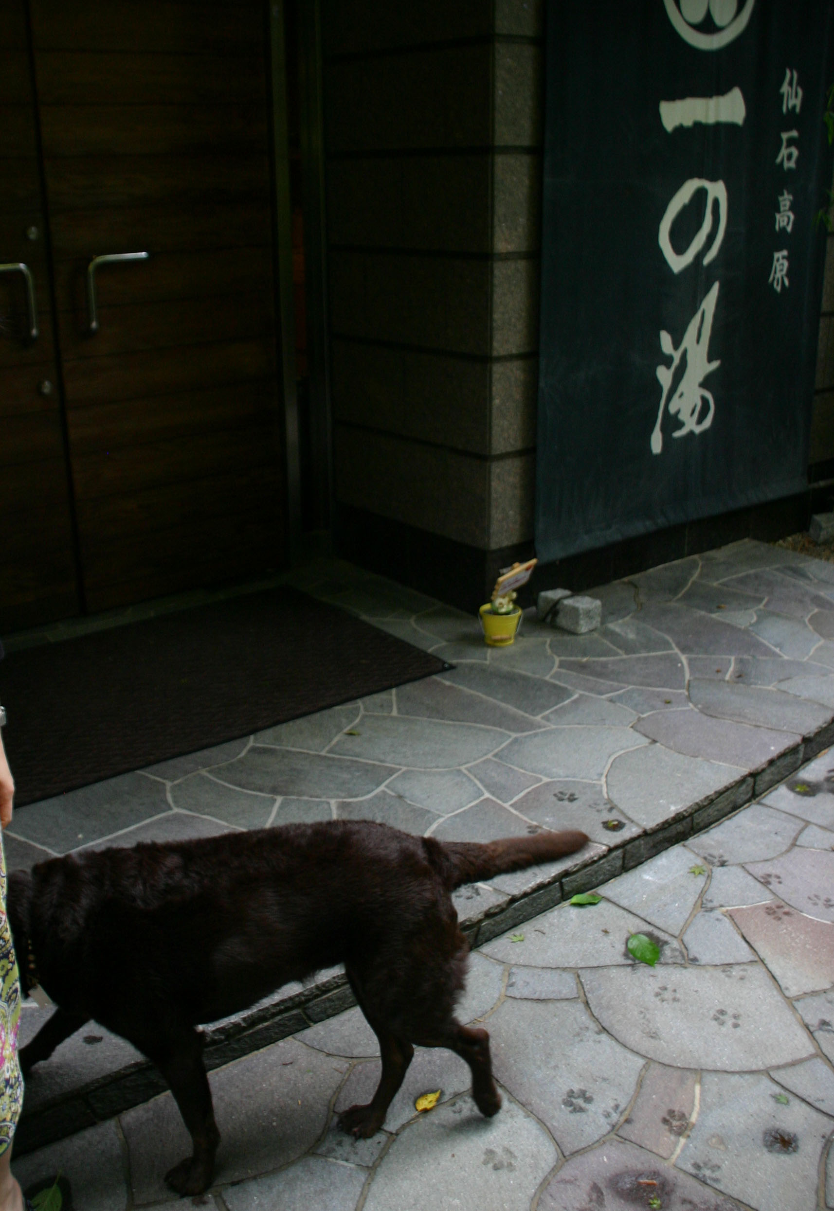 d0003991_1036373.jpg