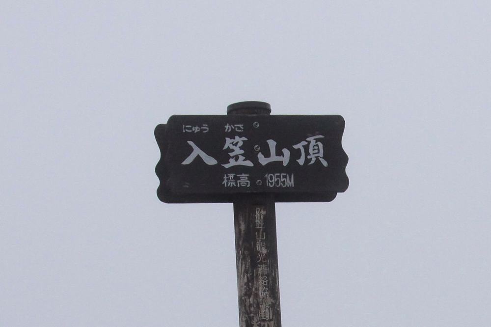 変わった所の止まりもの/高山植物_b0024798_60201.jpg
