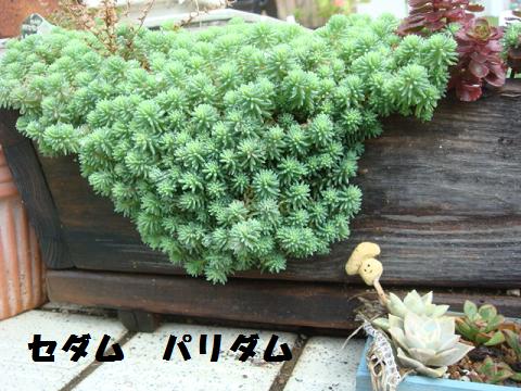c0165498_1223782.jpg