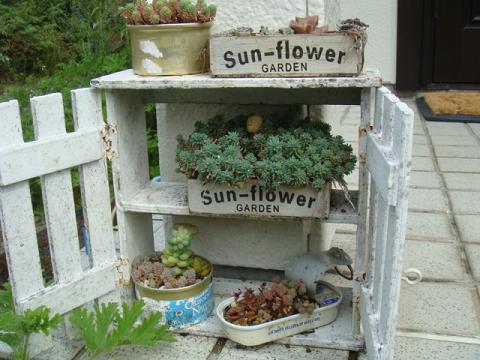 c0165498_1224915.jpg