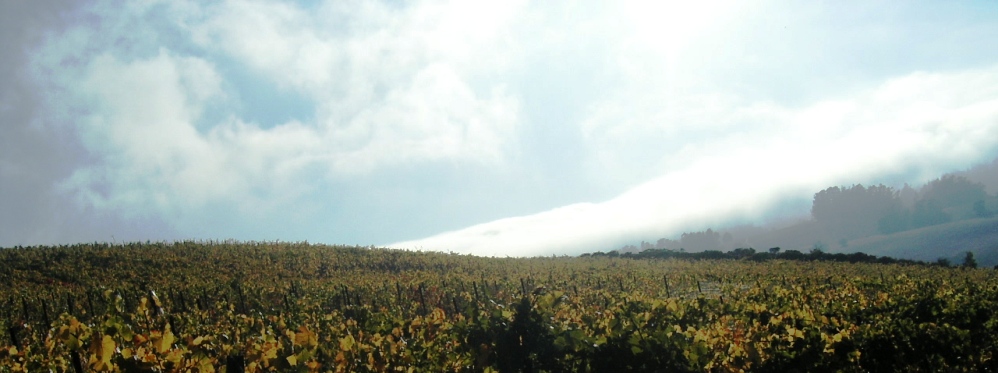 f0007498_1394648.jpg