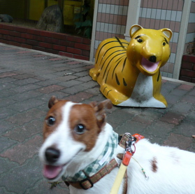 f0146198_1513129.jpg