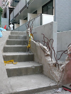 f0146198_15551528.jpg