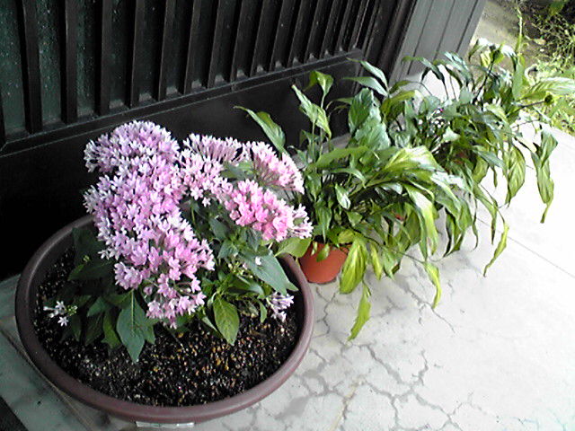 f0079202_2047672.jpg