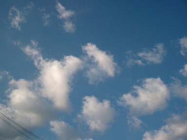 a0040103_12135827.jpg
