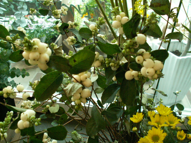 d0150109_19165369.jpg