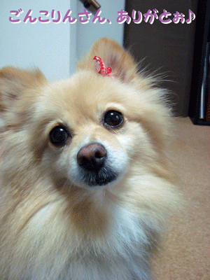 b0075318_2114672.gif