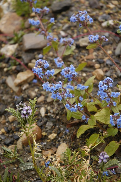 f0124823_1412031.jpg