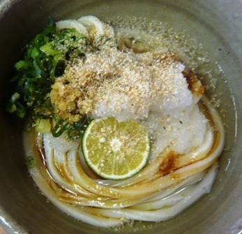 讃岐うどん②　　しょうゆうどんと大根の「小縣家（おがたや）」_e0026527_16334870.jpg