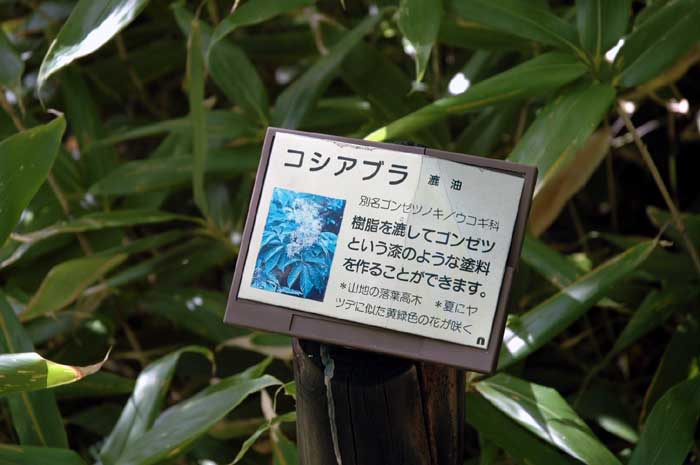 e0037129_16351645.jpg
