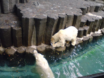 上野動物園_f0022130_18483.jpg