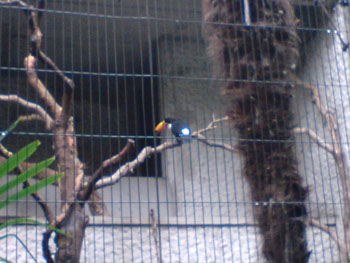 上野動物園_f0022130_19553.jpg