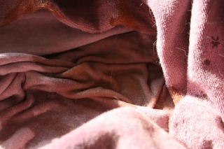 e0126350_2142140.jpg