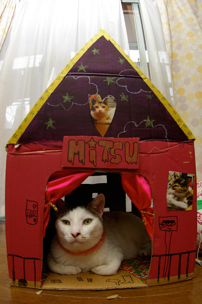MITSUMAME HOUSE(「も」作)_a0028451_1973437.jpg
