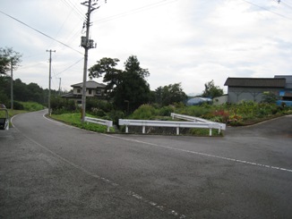 a0087378_447354.jpg