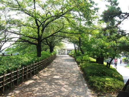 b0082484_044721.jpg