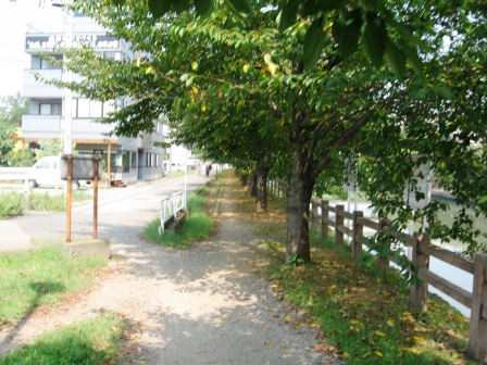 b0082484_072292.jpg