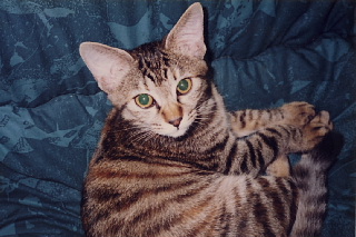 f0080385_0542344.jpg