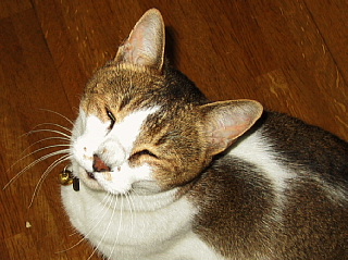 f0080385_125890.jpg