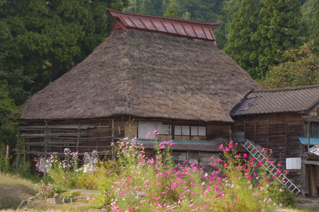 柏崎市 高柳 荻ノ島 かやぶき屋根の里_c0092386_714098.jpg