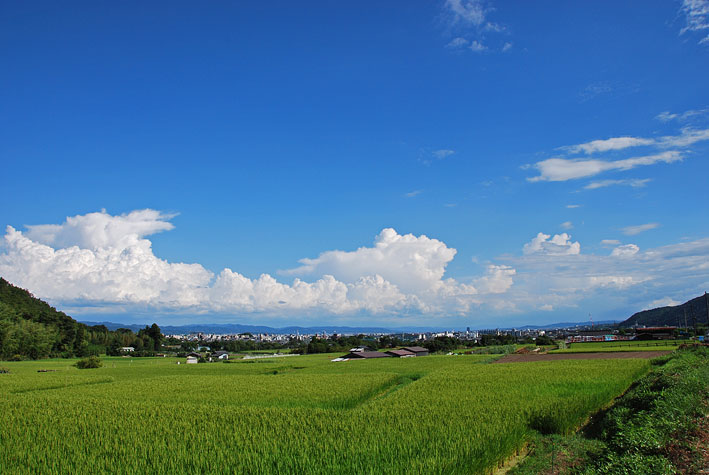 2008.08.13 夏の空_d0051991_2324599.jpg