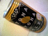 キラキラ_a0107193_11331748.jpg