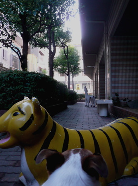 f0146198_08953.jpg