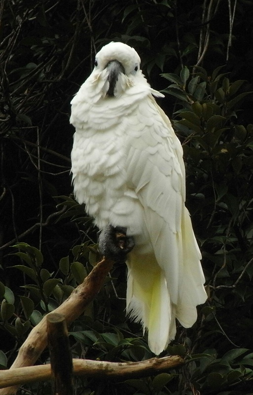 上野動物園_d0028304_13591822.jpg